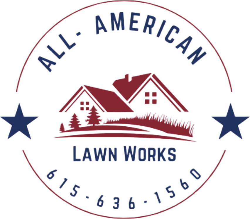 All American Property Solutions, LLC logo