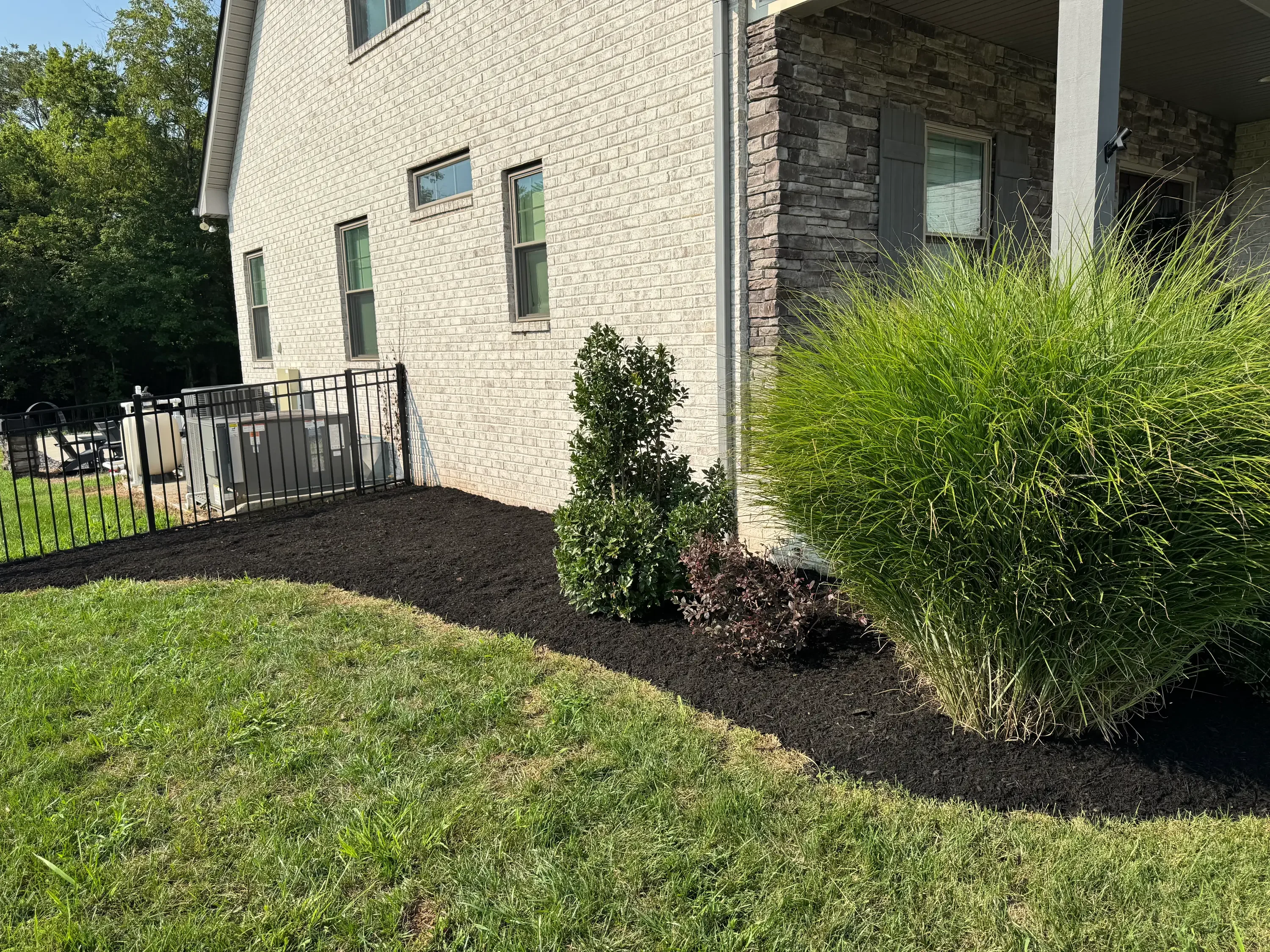 Black mulch landscape bed with ornamental grasses and evergreen shrubs along brick home foundation