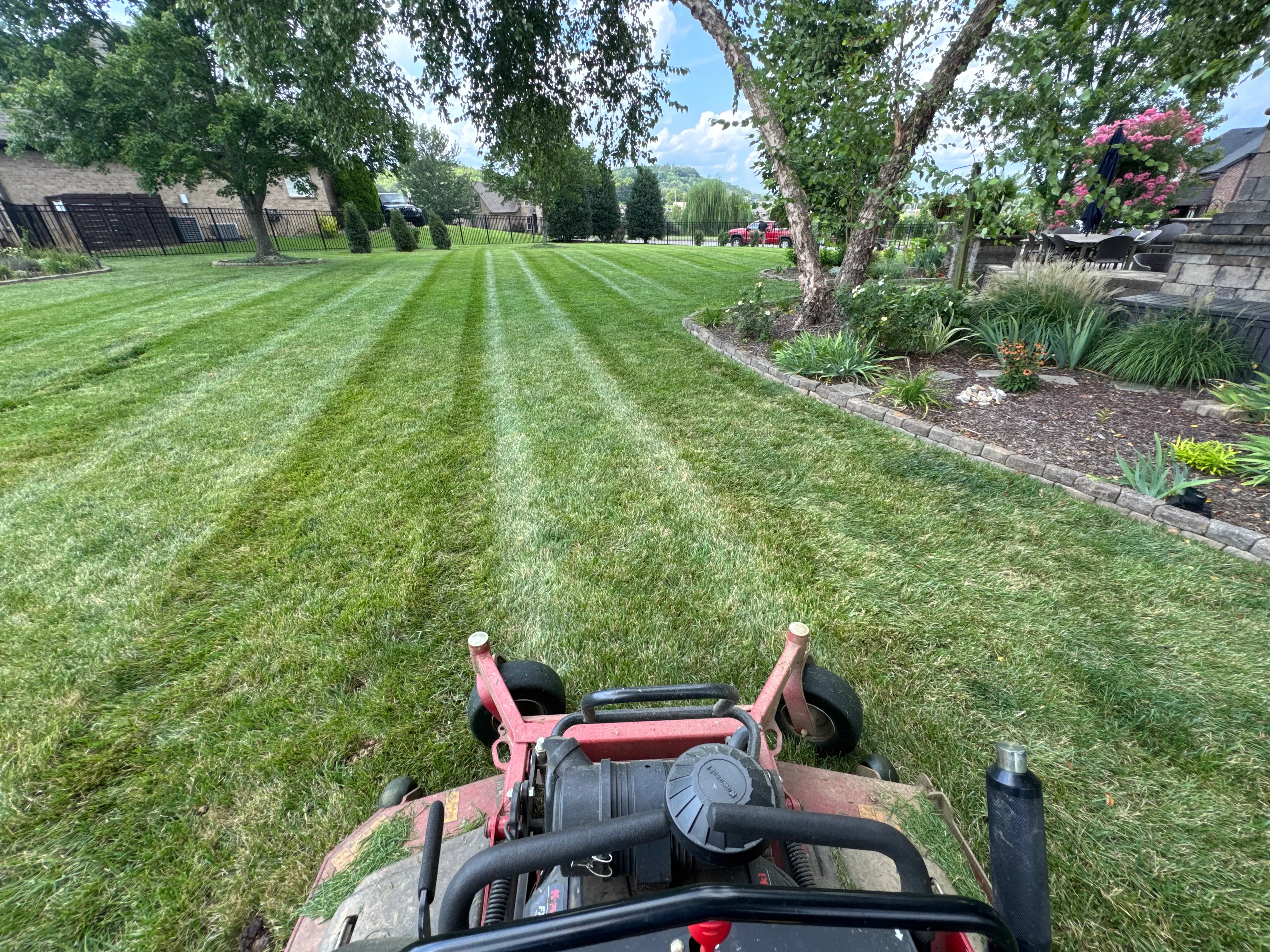 Striped lawn mowing with edged mulch beds, ornamental plantings, and mature trees